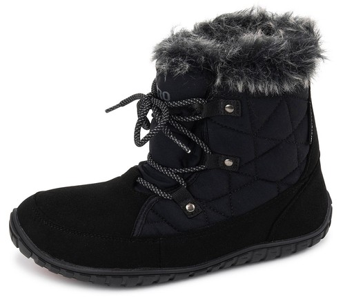 Saguaro rise winter - saguaro, i